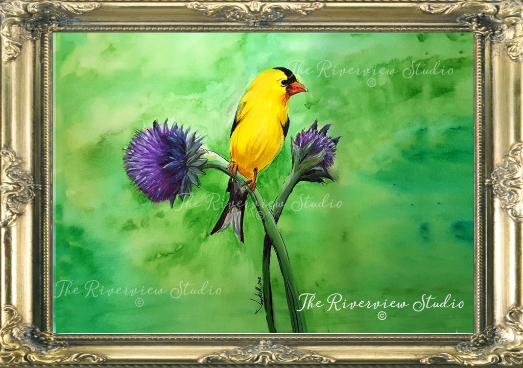 Yellow Finch - <strong><a href="https://riverviewstudio.com/contact-2/" data-type="page" data-id="523"><span style="color:#ffffff" class="has-inline-color">Buy Now</span></a></strong>